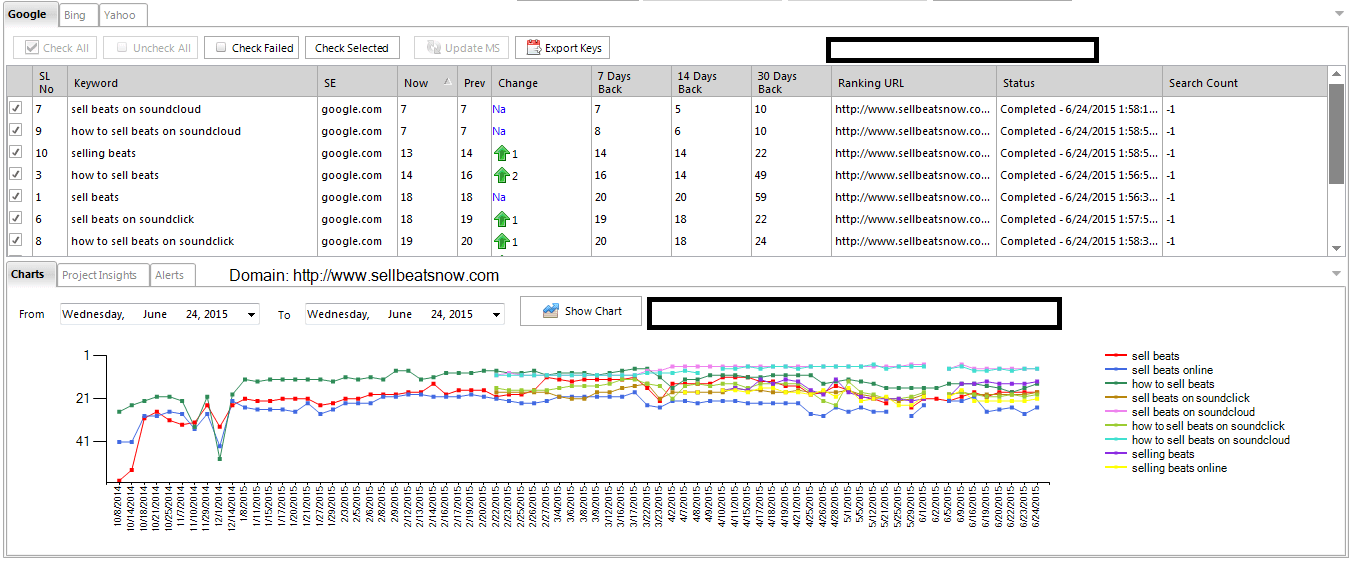 SEO rising in ranks